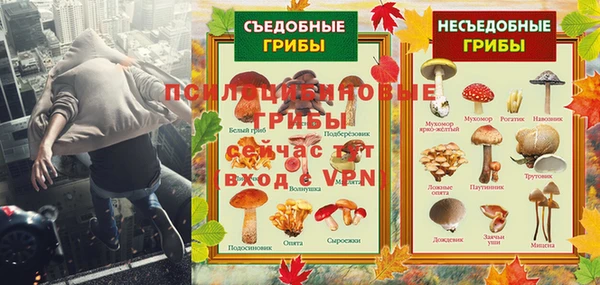ALPHA PVP Баксан