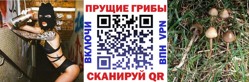 ссылка на мегу маркетплейс  Подпорожье  Галлюциногенные грибы ЛСД  даркнет сайт 